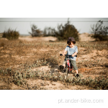Mini bicicleta de equilíbrio infantil com pé empurrado